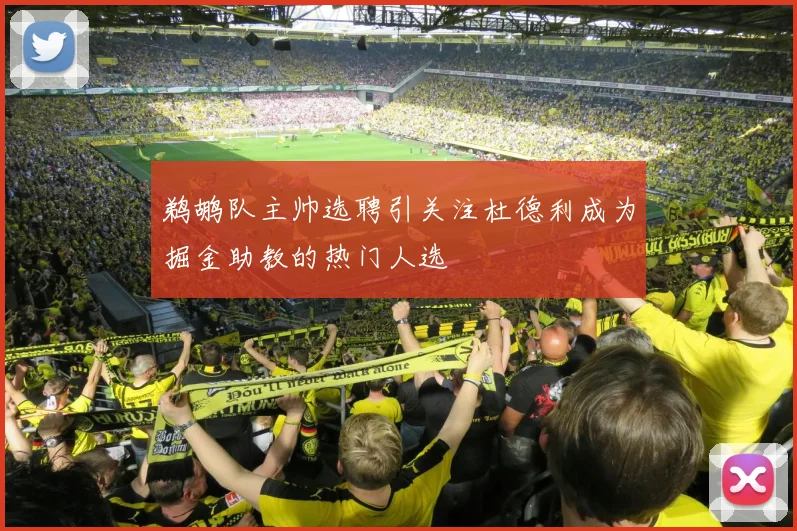 鹈鹕队主帅选聘引关注杜德利成为掘金助教的热门人选